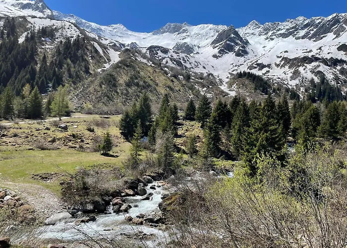 Auszeit Appartement *